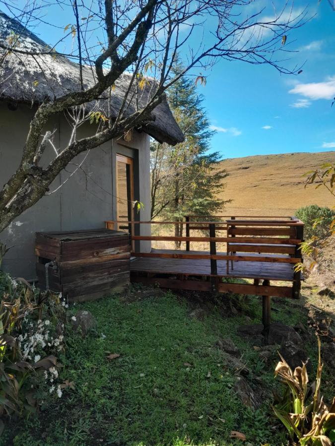 Khotso Lodge & Horse Trails Underberg Buitenkant foto