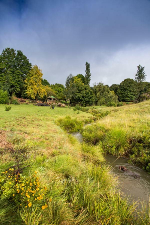 Khotso Lodge & Horse Trails Underberg Buitenkant foto